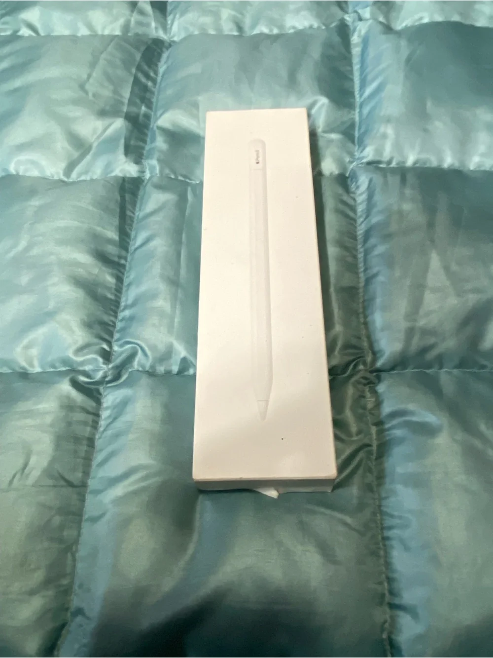 Apple Pencil (White) - USB-C Pencil Stylus in Box. Retail $100